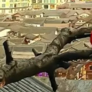 人生如镜，你对着它笑，它也对着你笑；你对着它哭，它便对着你哭。成功与否，不在于我
