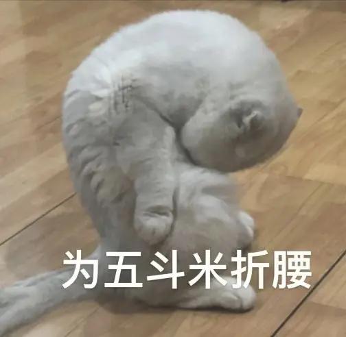为五斗米折腰还不是生活所迫？身份不同，看世界的角度不同。[赞]