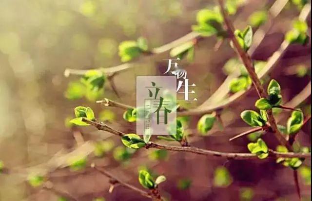 立春的“立”，意味着什么？在这个节气的名字中，藏着古人对于自然与人生的深刻理解。