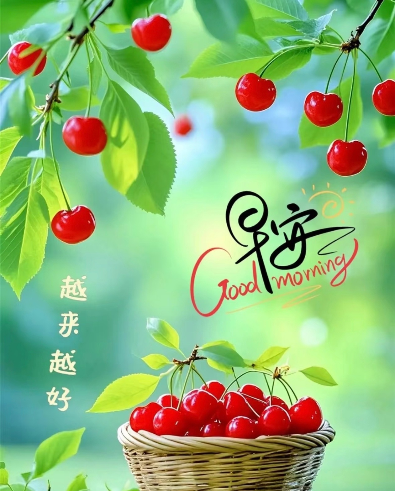 早安 生活，像是一面镜子。你对它笑，它就对你笑。要开心，要健康 ，其次，都是其次