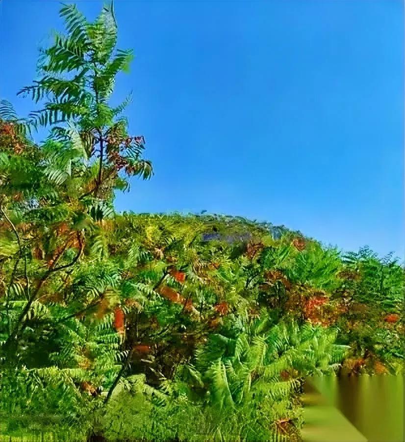 减肥后才懂：最狠养生是…

小米粥竟赢过燕窝？

减肥后才发现，真正的养生藏在最