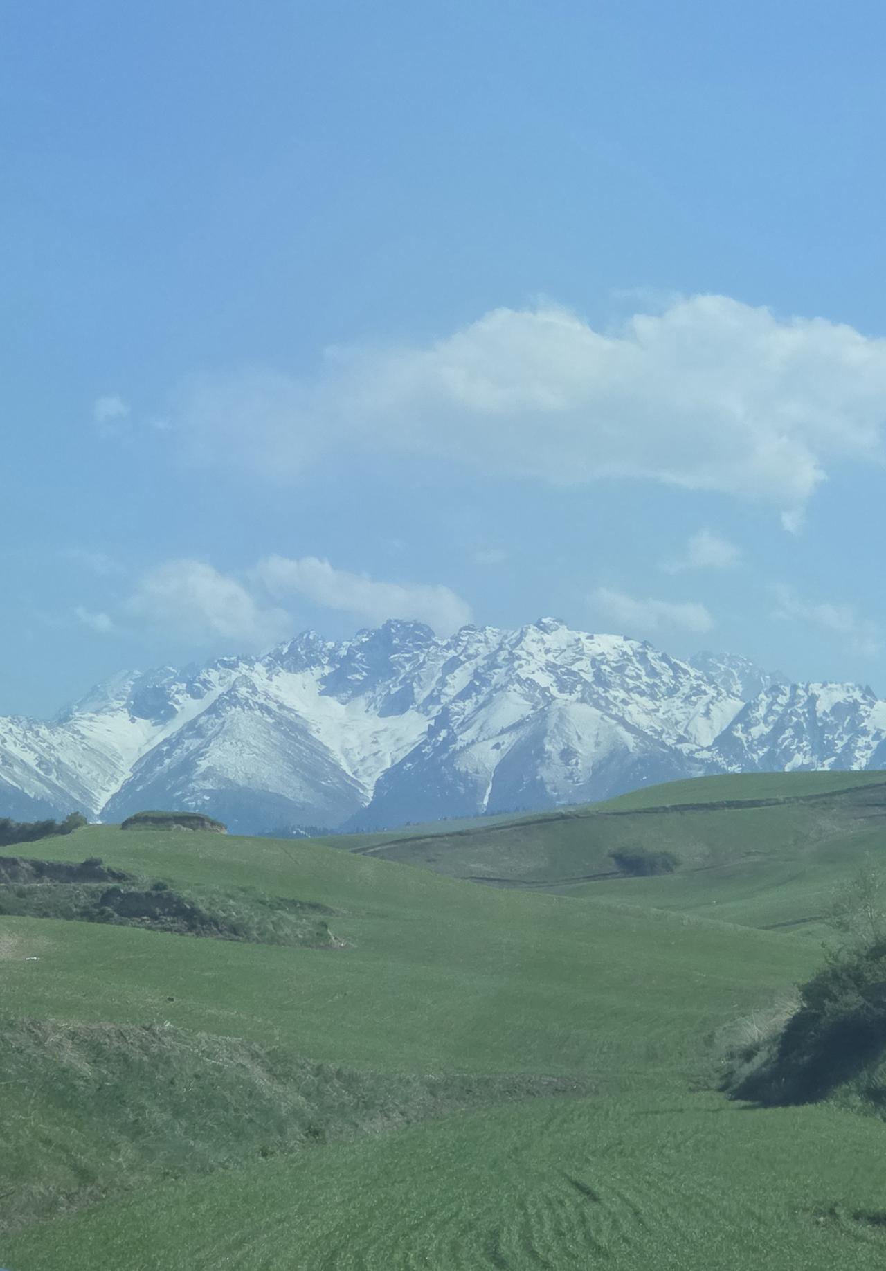 大山里的原生美景新疆昌吉回族自治州奇台县江布拉克景区大草原太美了。[赞][赞]