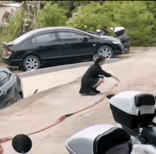 女子放个鞭炮，本来是庆祝一下，却像是仓皇逃窜，还跌跌撞撞、连滚带爬。从始至终女子