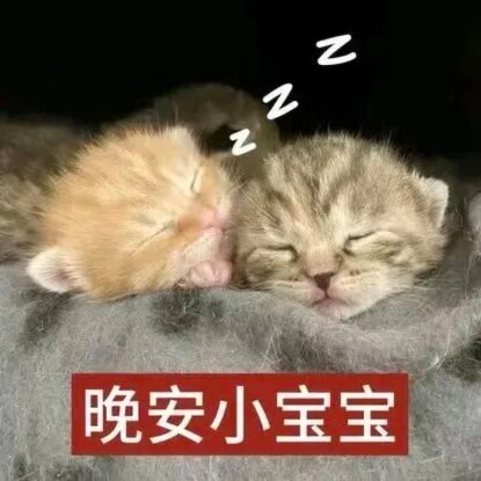 睡觉了 晚安晚安 ​​​