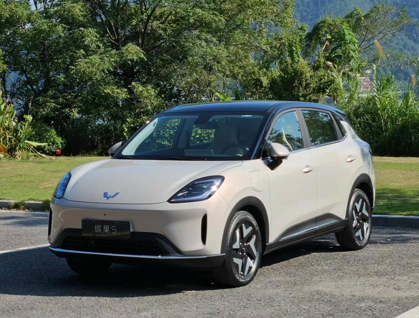 有没有几万块还“抗冻”的电车？
你别说还真有，我建议你可以看看缤果S，虽然它的顶