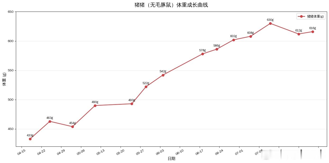 豆包和chatgpt差了十万八千里… 