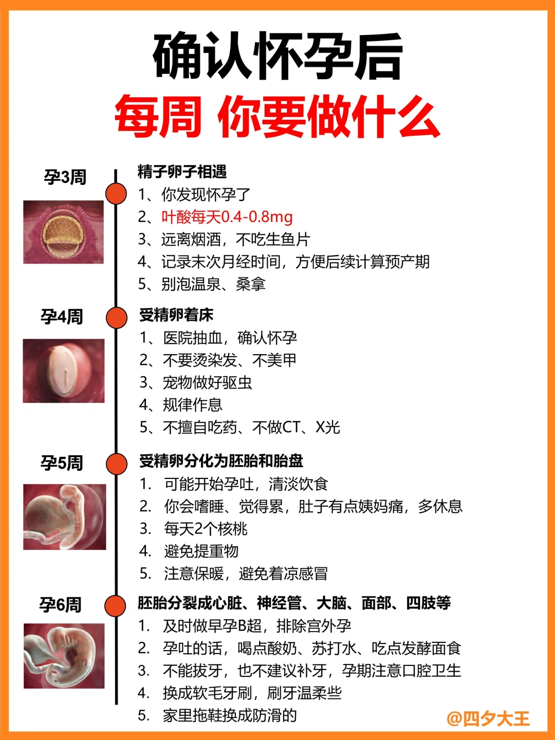 怀孕后，每周要注意什么⁉️一篇讲明白✔️