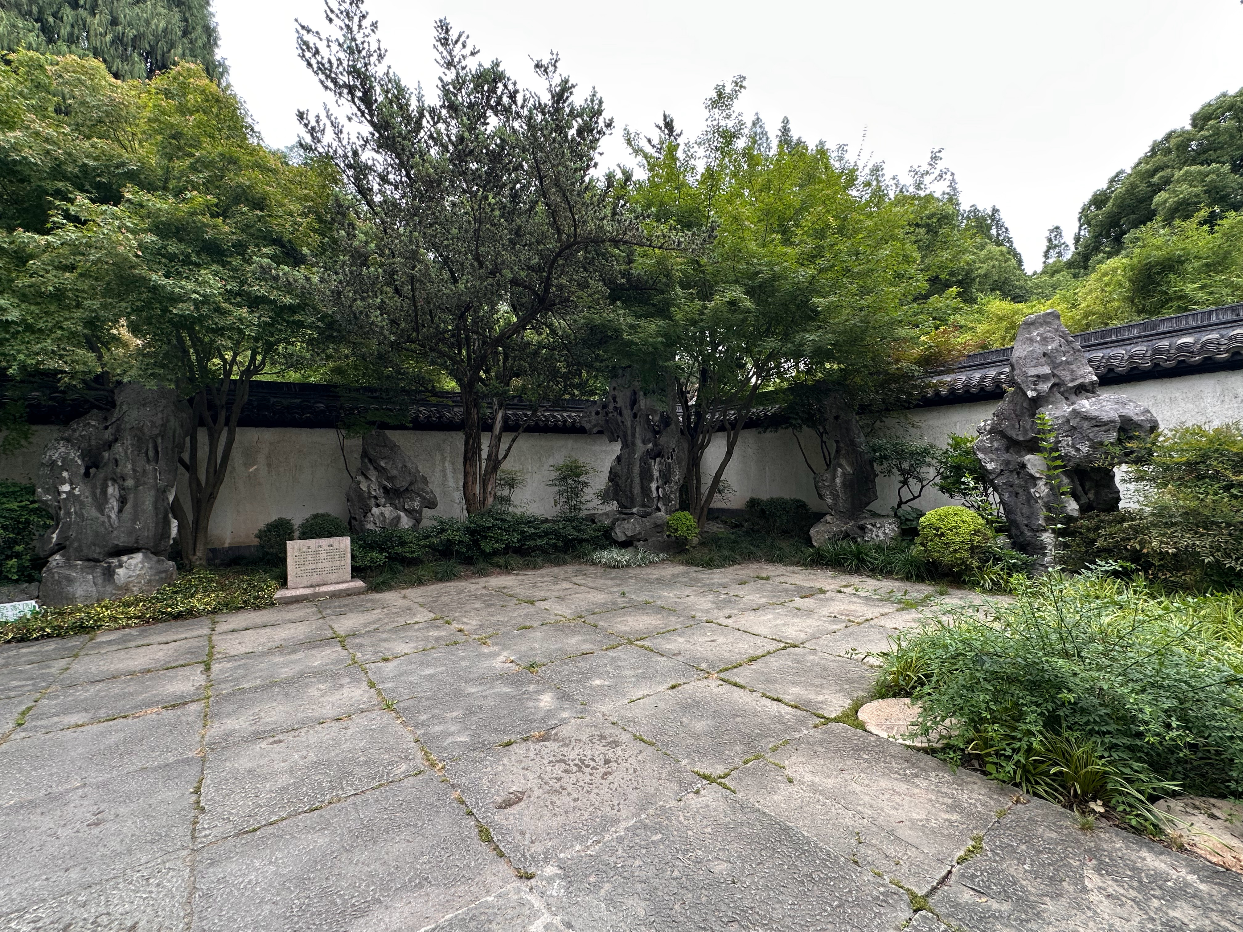 上海明代佳石--方塔园内的“五老峰”，初置于明代顾正谊私宅“濯锦园"，顾是明代松