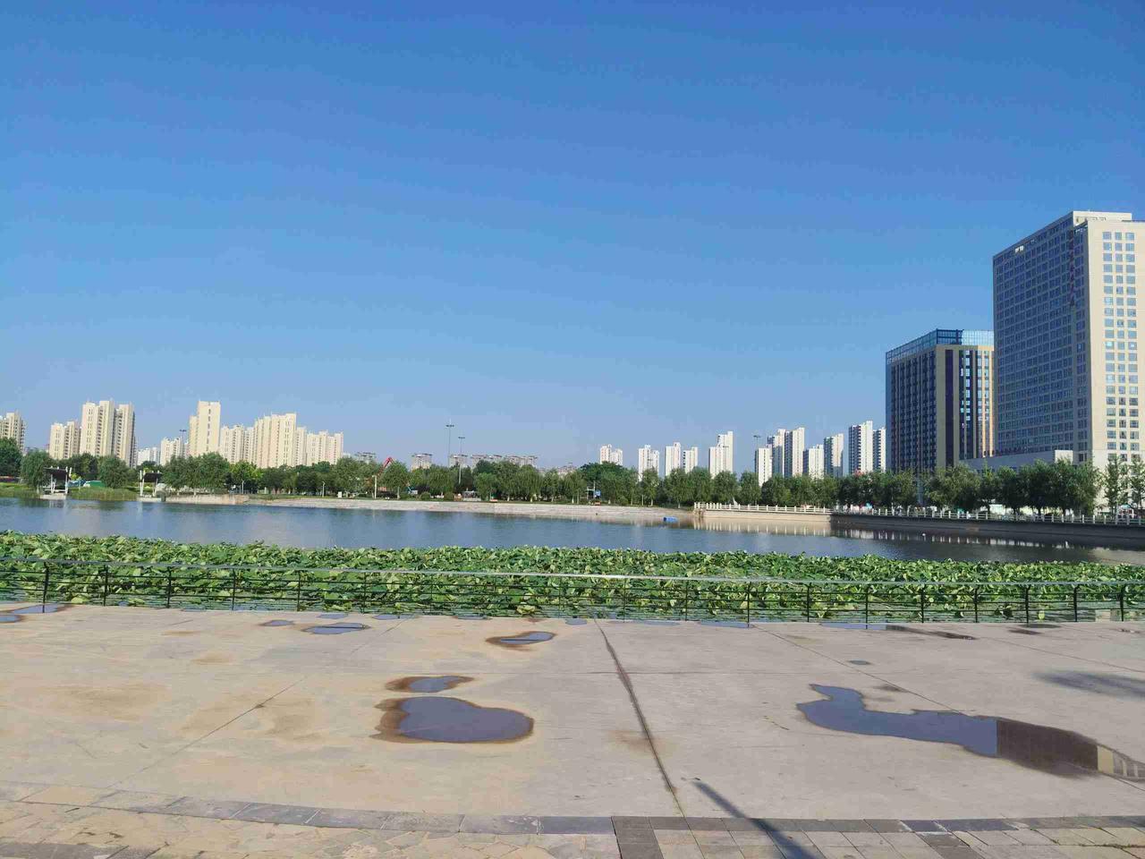 我的今日状态：🐯虎虎生威
我这里的天气：☀️晴天🙏今天我为我的孩子祈福！愿我