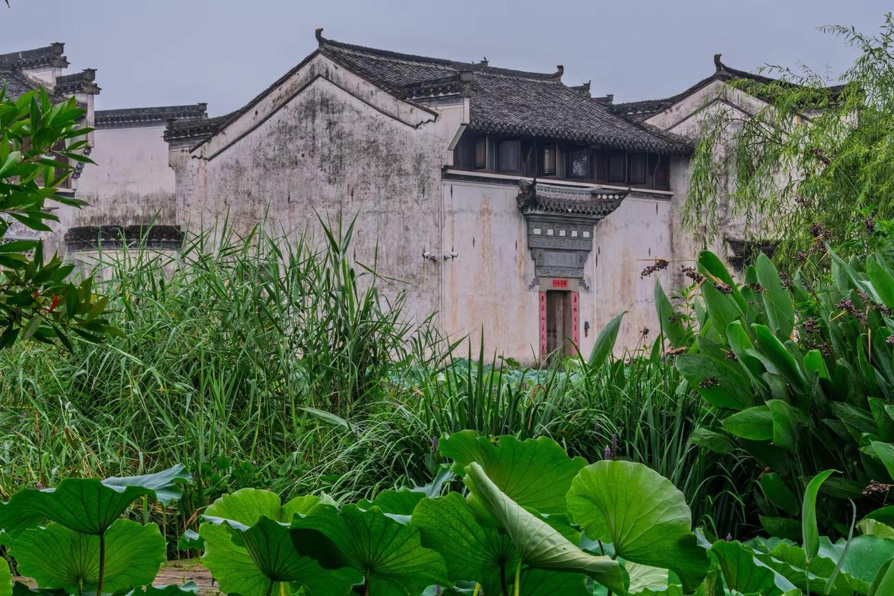 黄山呈坎八卦村。黄山呈坎八卦村徽派建筑美如画 徽派建筑之美 古村落的诗意 传统民