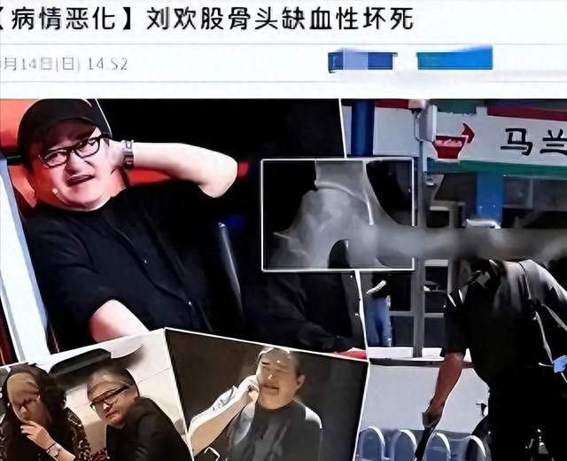 刘欢走后不到24小时，荒唐事接连上演，连官媒都看不下去了