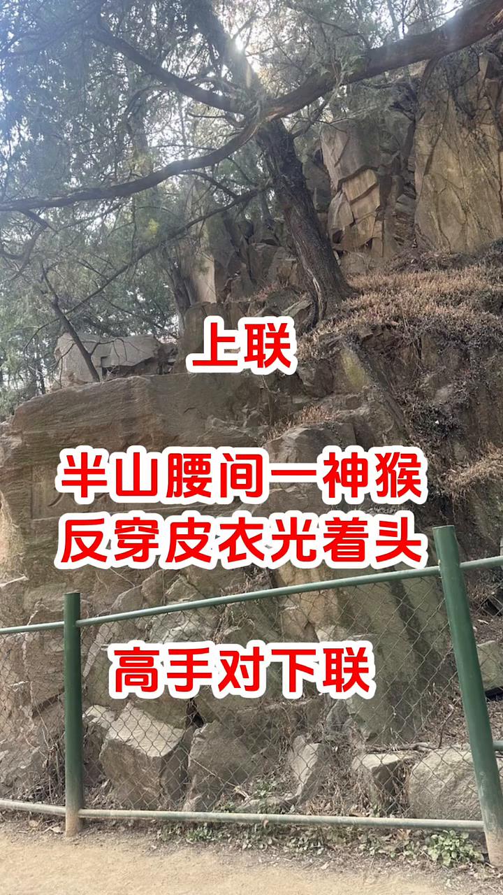 上联：半山腰间一神猴，反穿皮衣光着头。高手对下联。