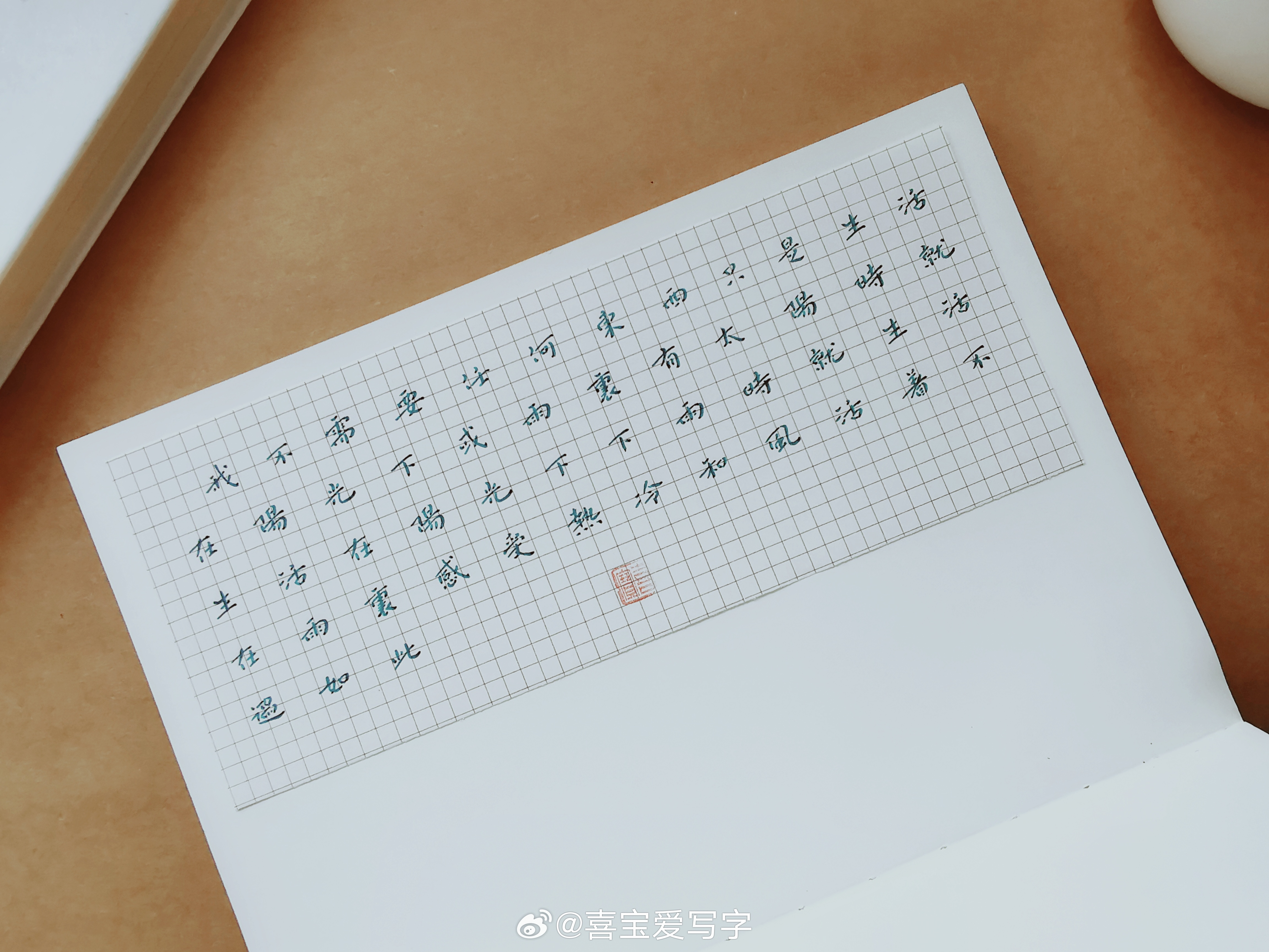 我不需要任何东西，只是生活在阳光下或雨里，有太阳时就生活在阳光下，下雨时就生活在