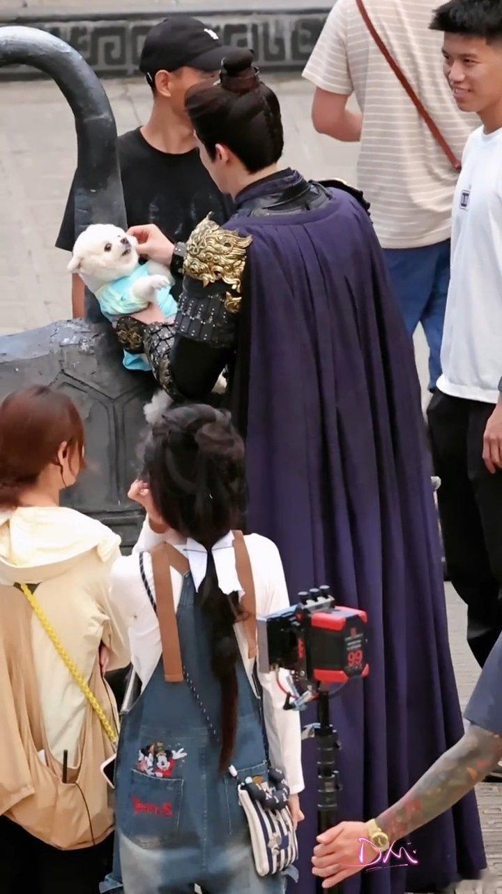 孟子义的狗欺软怕硬王鹤棣OMG你吓到狗了 这下真的是知道巧克力是怎么“欺软怕硬”