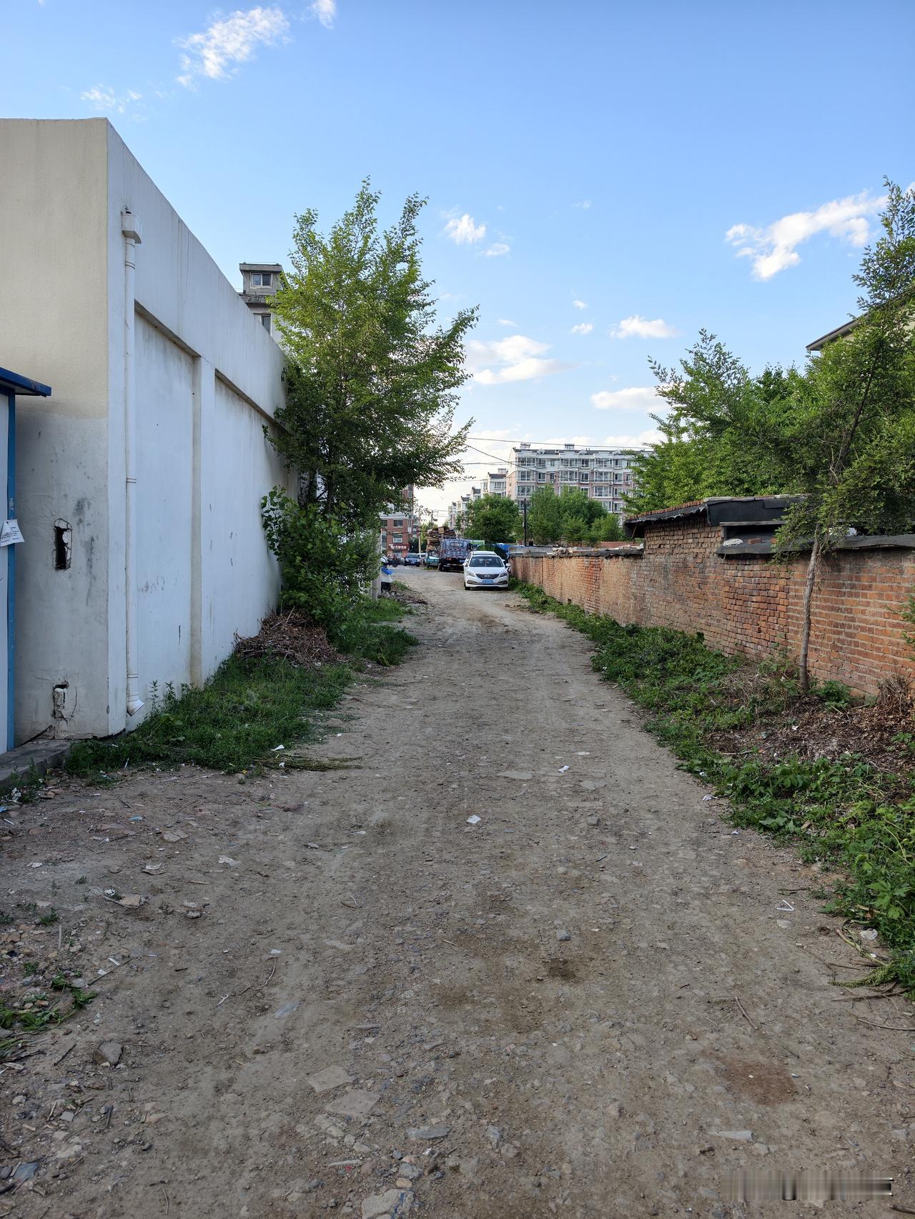 沈阳一小学旁有条土路，行走不便，居民、家长和学生都盼着修一修，方便出行…
 
在