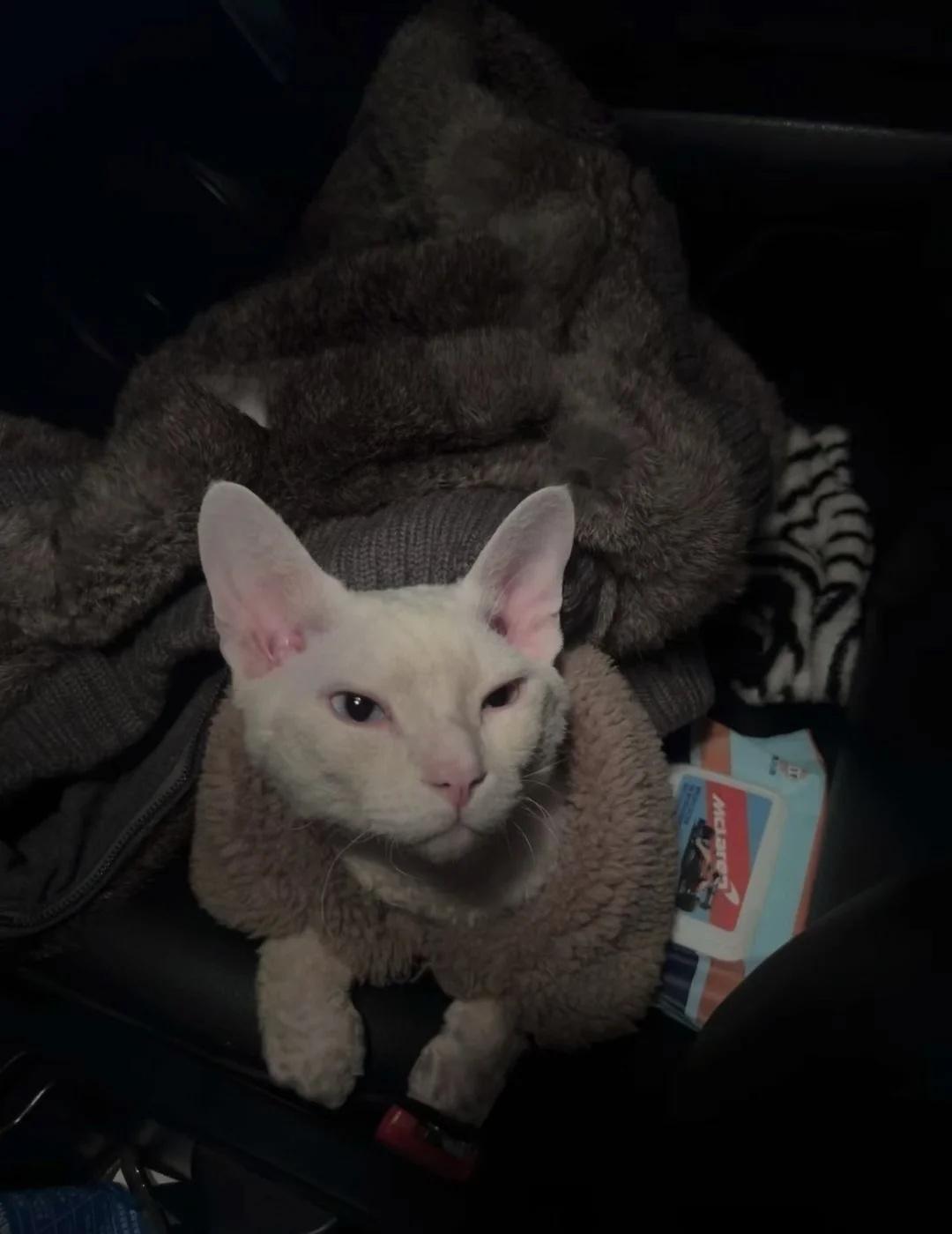 如果你也喜欢这种氛围感
安静的氛围 氛围感拉满了 这该死的氛围感 喜欢安静的生活