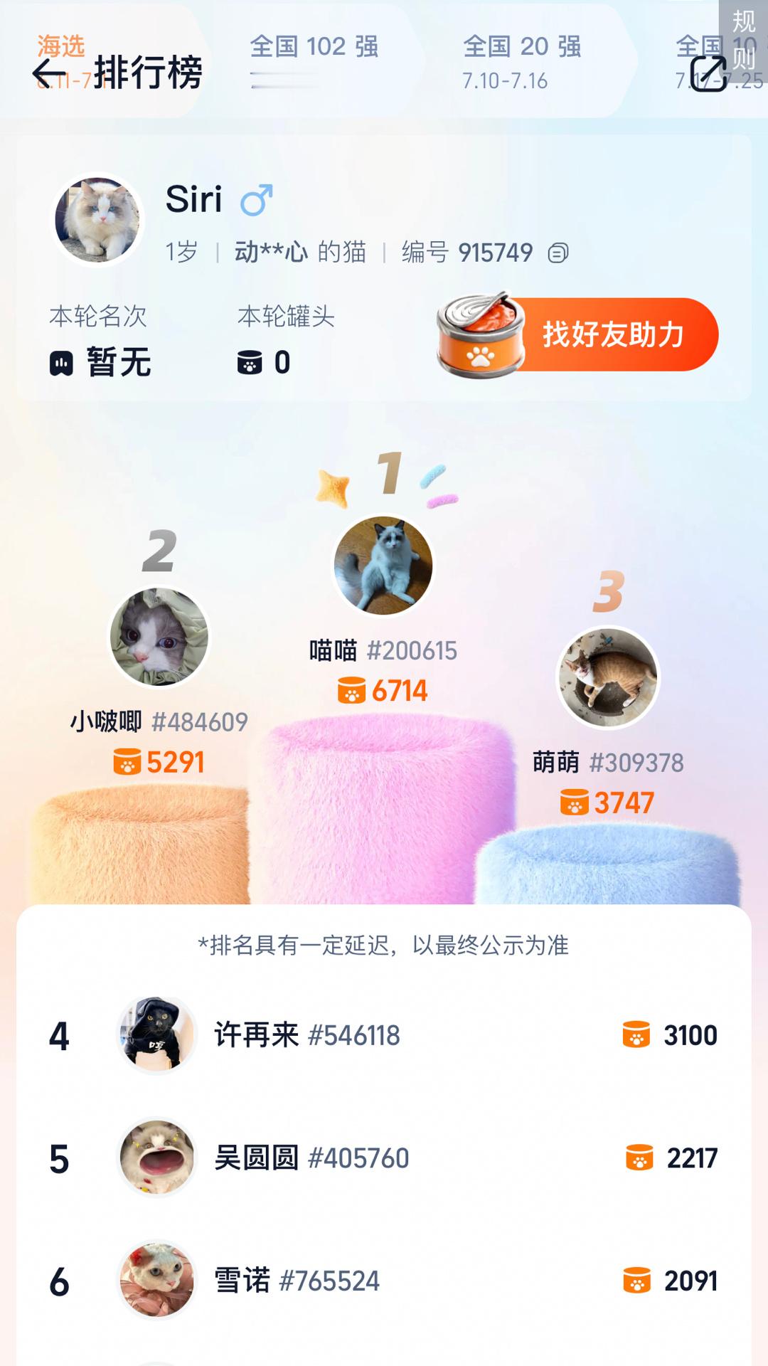 #猫王大赛第一天有20万只猫报名#猫咪选秀节目？赶紧给我家猫儿子报个名！6月11