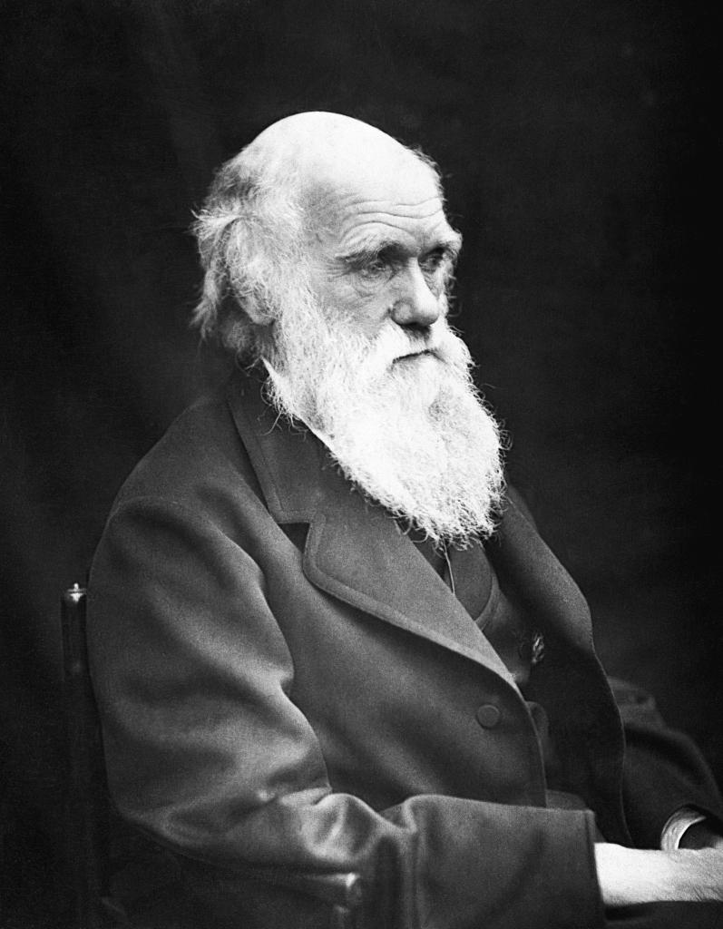 1882年4月19日，英国，肯特郡。

一个73岁的老人躺在病床上，握着妻子的手