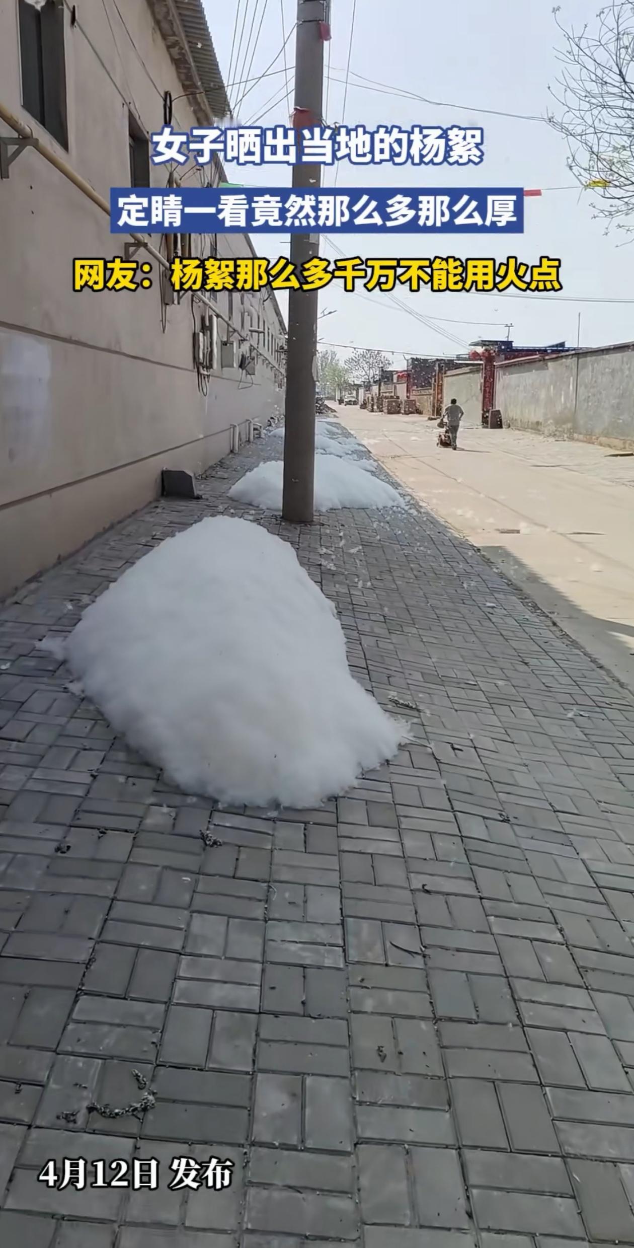 活久见！女子出门，发现前面有好几堆像雪一样的东西，她还纳闷大晴天哪来的雪花，走过