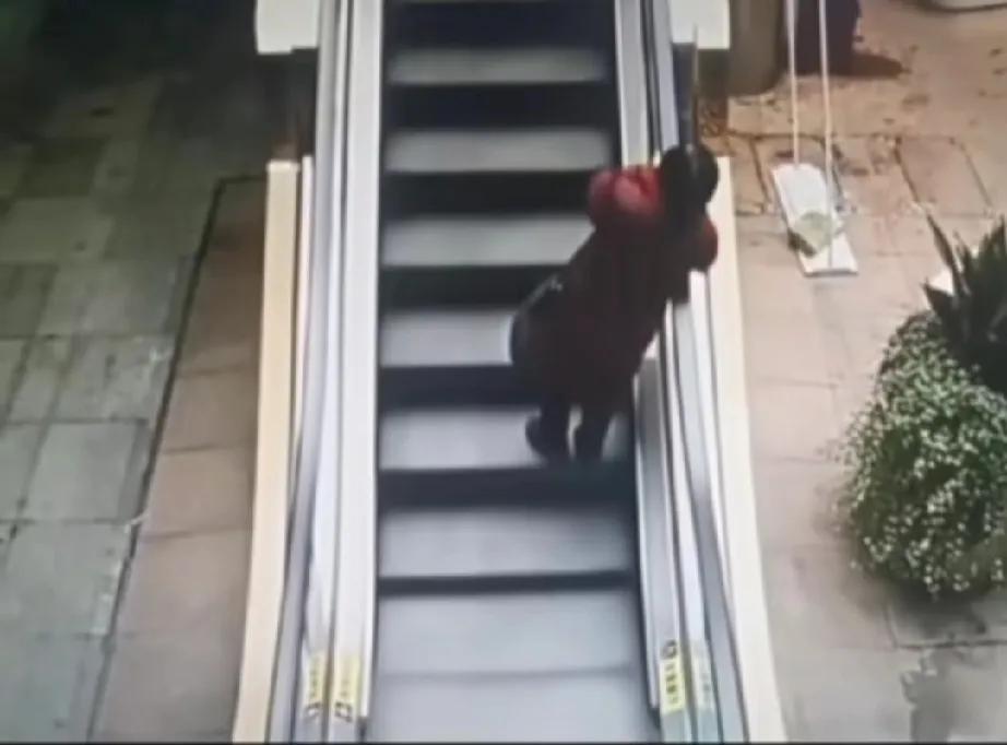 看到这个阿姨坐电梯摔下来，挺心疼人的。
老年人出门不容易。坐个电梯都可能有风险。