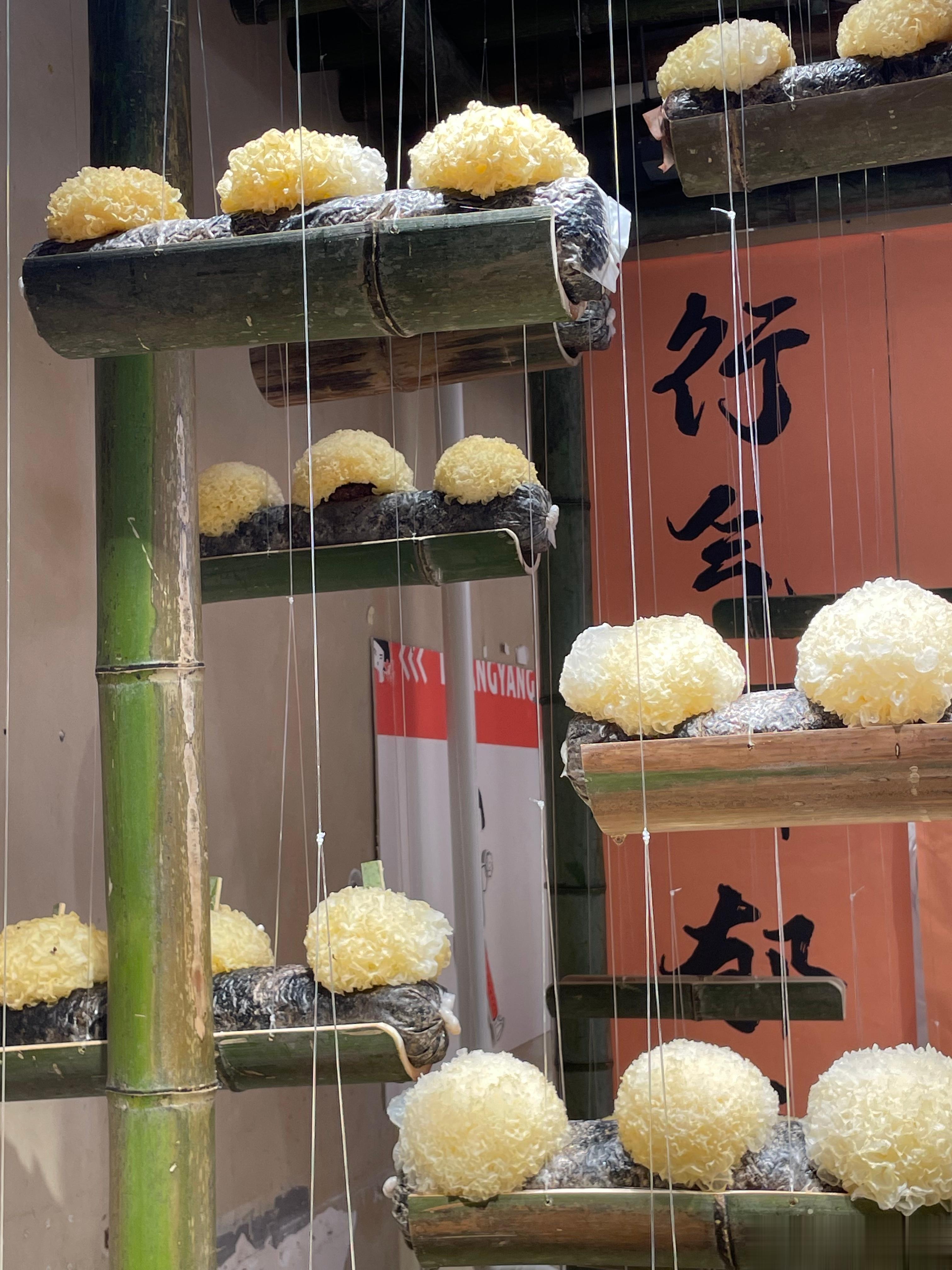 更……#遇见美好# ​​​