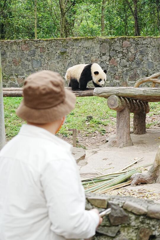 再来见