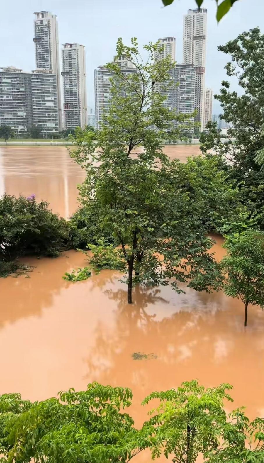 27日，邕江水位与海潮退潮时的钦江（平陆运河）低水位，形成反差。
图1图2南宁，