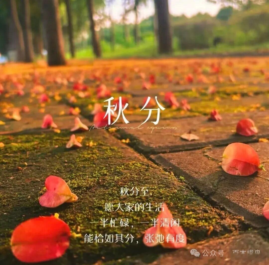 成熟之人的功课，是一手承载悲伤，一手承载感恩，并让自己被这两者撑得更加宽广。我能