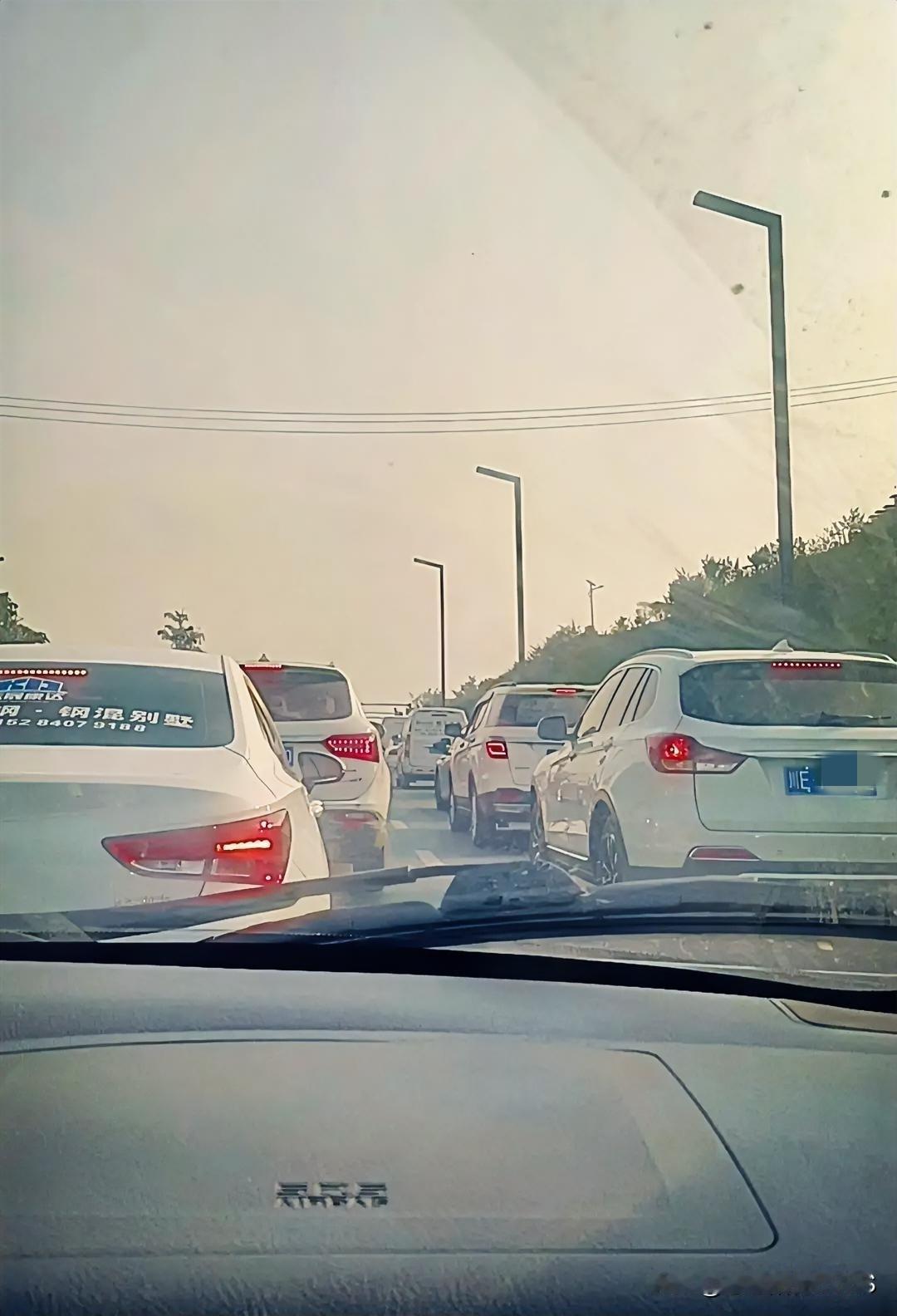 一大早全是聪明人，都想着提前上高速躲堵车，结果全扎堆了！这到底是堵车还是“聪春节