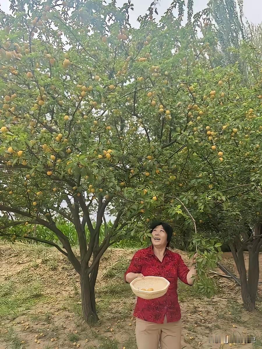 “治沙女杰”殷玉珍，如今家底厚得惊人。
 
​800万棵树、7万亩林地，名下有一