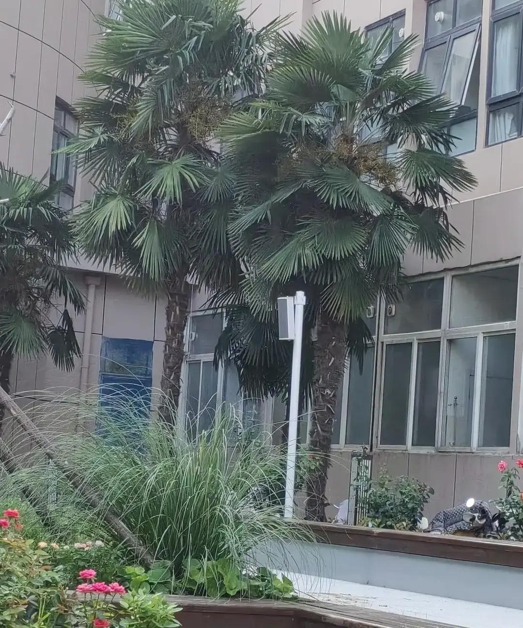 上个月我卧病在床那几天，手机响个不停，同事在群里嘘寒问暖，亲戚在微信里发来关切，