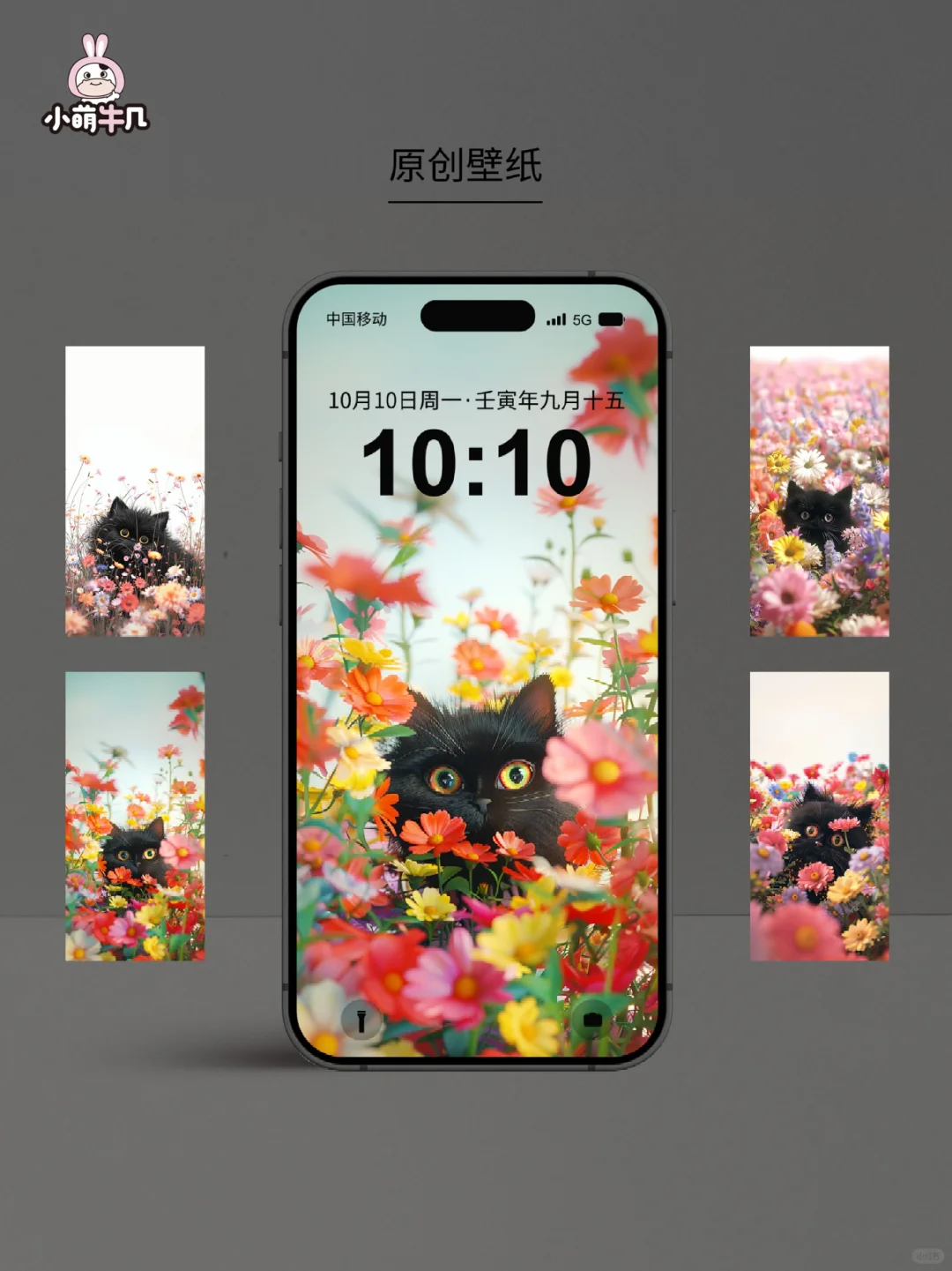 治愈系猫咪和花壁纸｜🉑授权