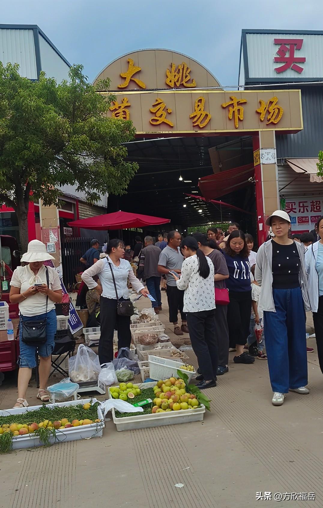 或许是晚市的原图，18时大姚野生菌的价格只有隔壁南华县的一半多点，火把鸡枞100