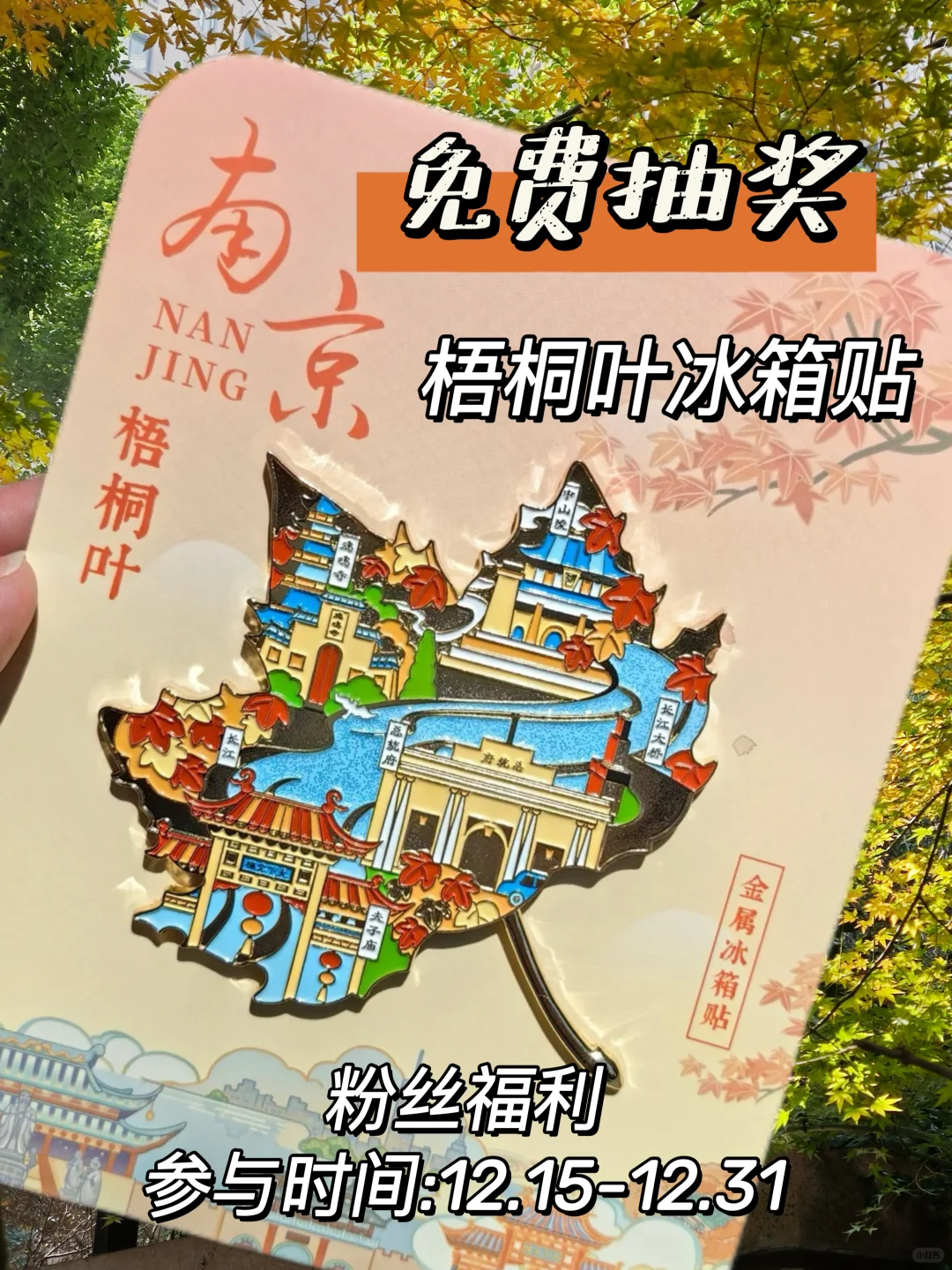 12月宠粉福利🎁南京梧桐叶冰箱贴0️⃣元送
