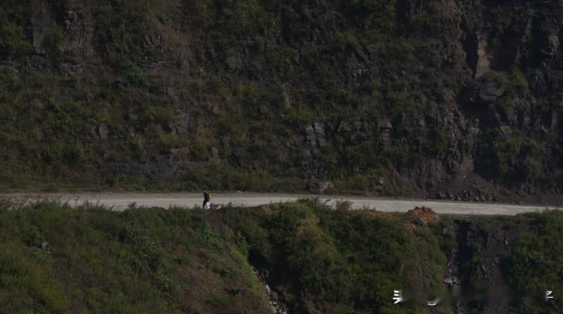 父亲去世 女儿回大伯家过年泪流满面 看到父亲去世 女儿回大伯家过年泪流满面这个话