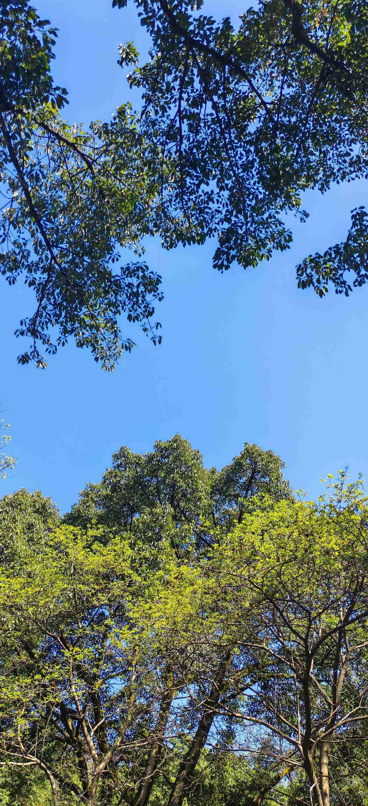 生活的美好，从来都不是轰轰烈烈的，而是藏在柴米油盐的琐碎里，藏在三餐四季的平淡里