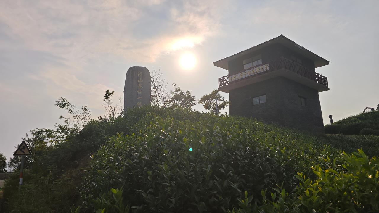 驱车闯入余杭径山，满山铺展开的茶园，瞬间把眼睛治愈了。层层叠叠的茶垄顺着山势起伏