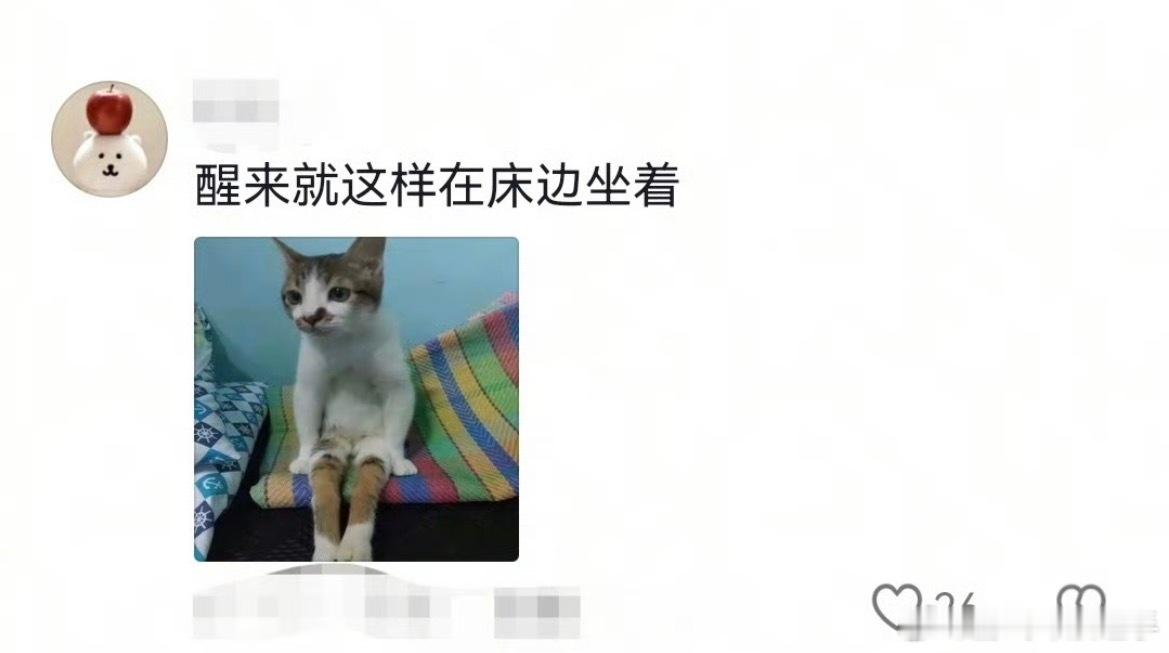 当你在周末的下午睡着了我昨天一点睡的午觉，调了个一小时的闹钟，因为我两点多要上班