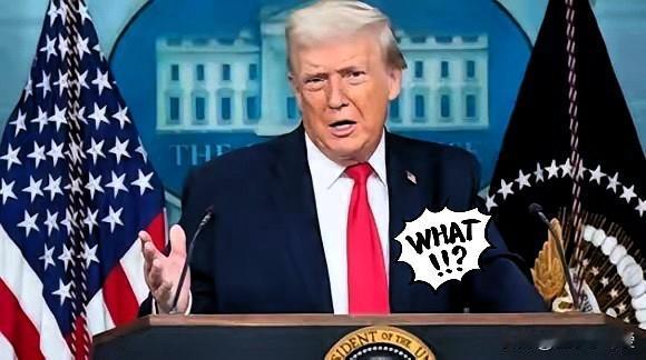 特朗普又整活了，这次直接把窗户纸捅破了。他说，台湾那个地方需要我们罩着，但他们没