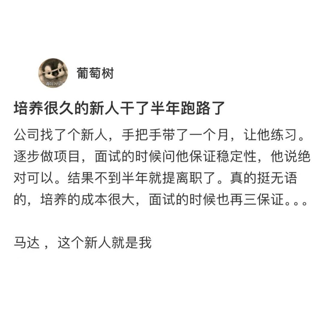 培养很久的新人半年后就辞职了 