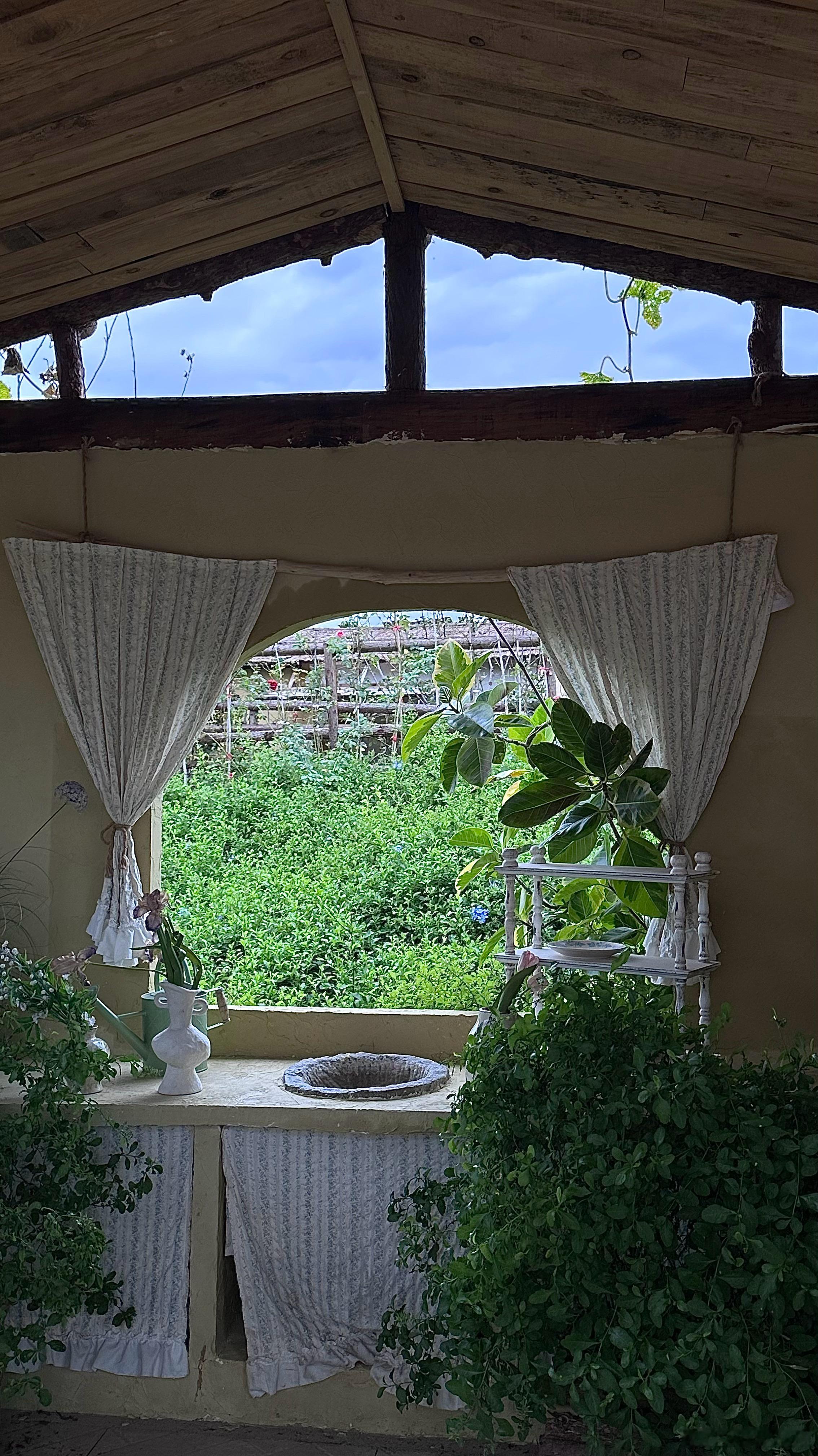 🍃🌹🌻🐠👗🧺💐📗 ​​​