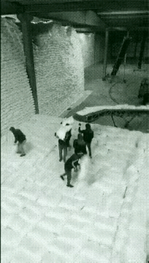 还怪有节奏[赞]