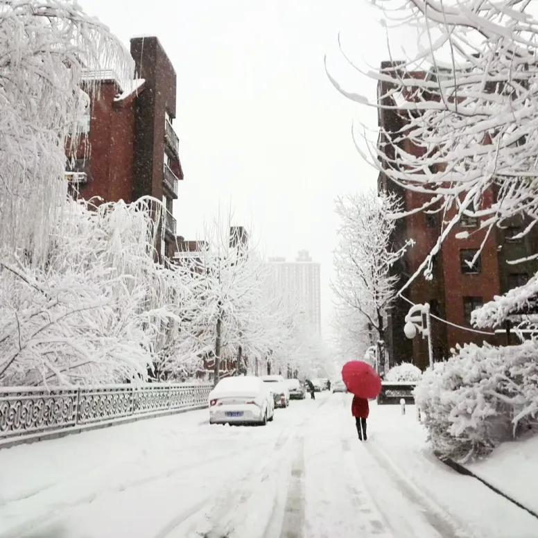 【生命本身就是在，"不断失去"与"不断得到”中循环往复的过程；往往你以为是失去，