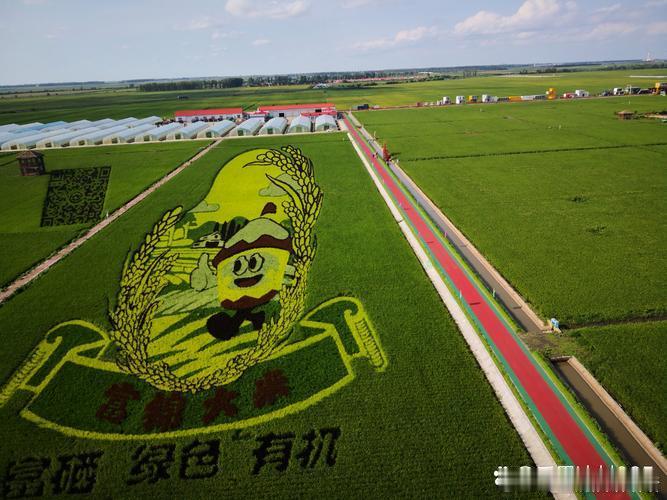 天府粮仓添新粮了风吹稻浪，五谷丰登✨高标准农田结出饱满谷穗，农机与人力齐上阵，把