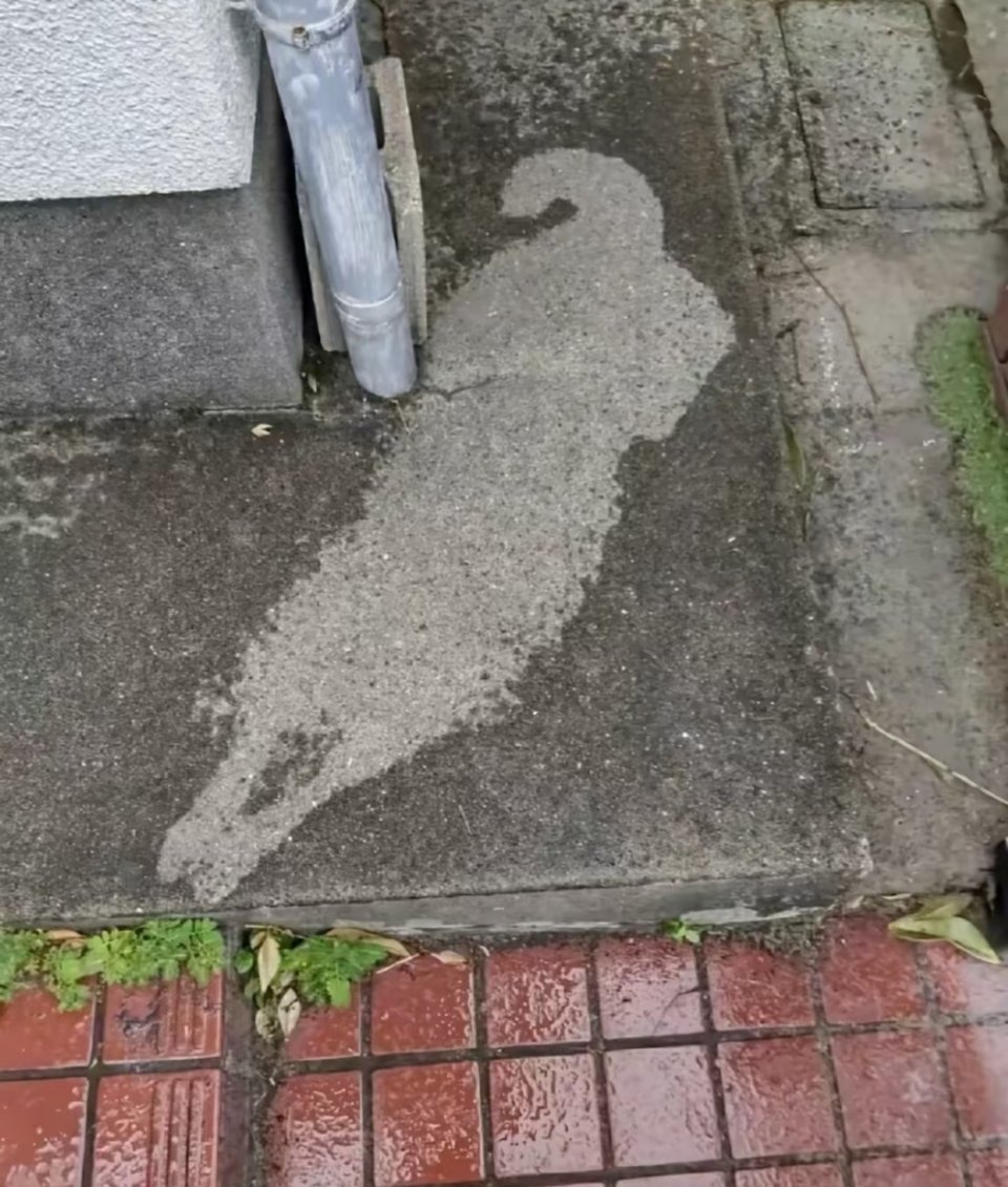一场过路雨，也就五分钟就停了。 