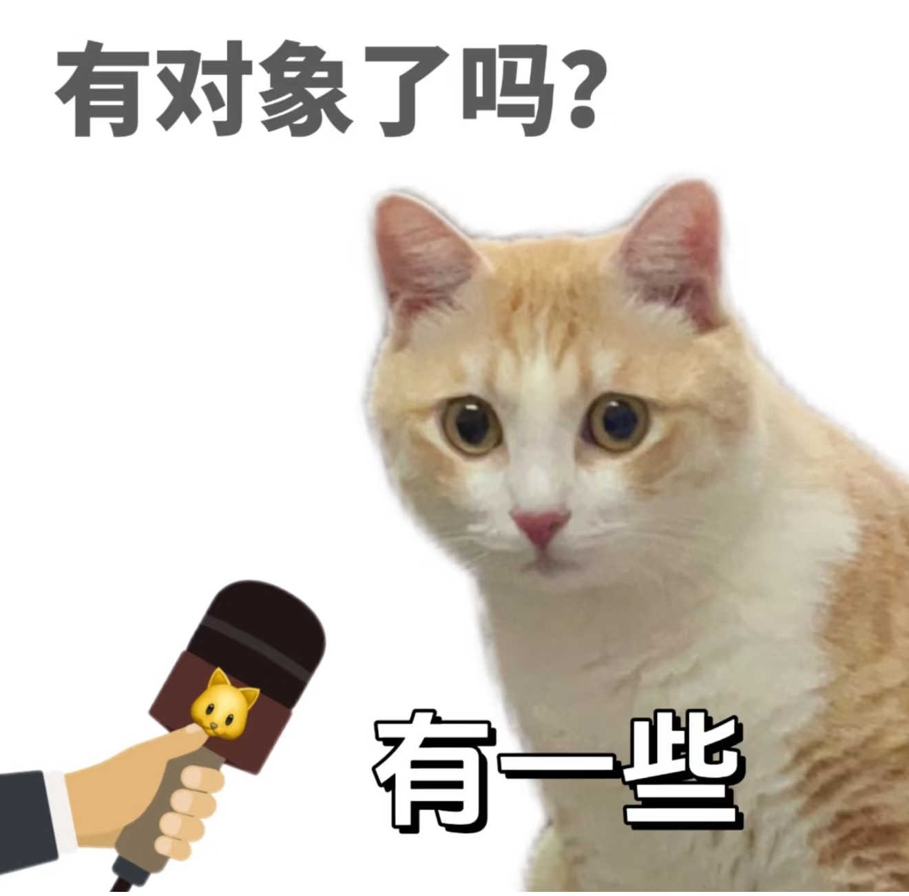 女生被催婚6岁侄子帮忙反击试试反向催呢？可能我家亲戚比较温和吧，我直接回让他们给