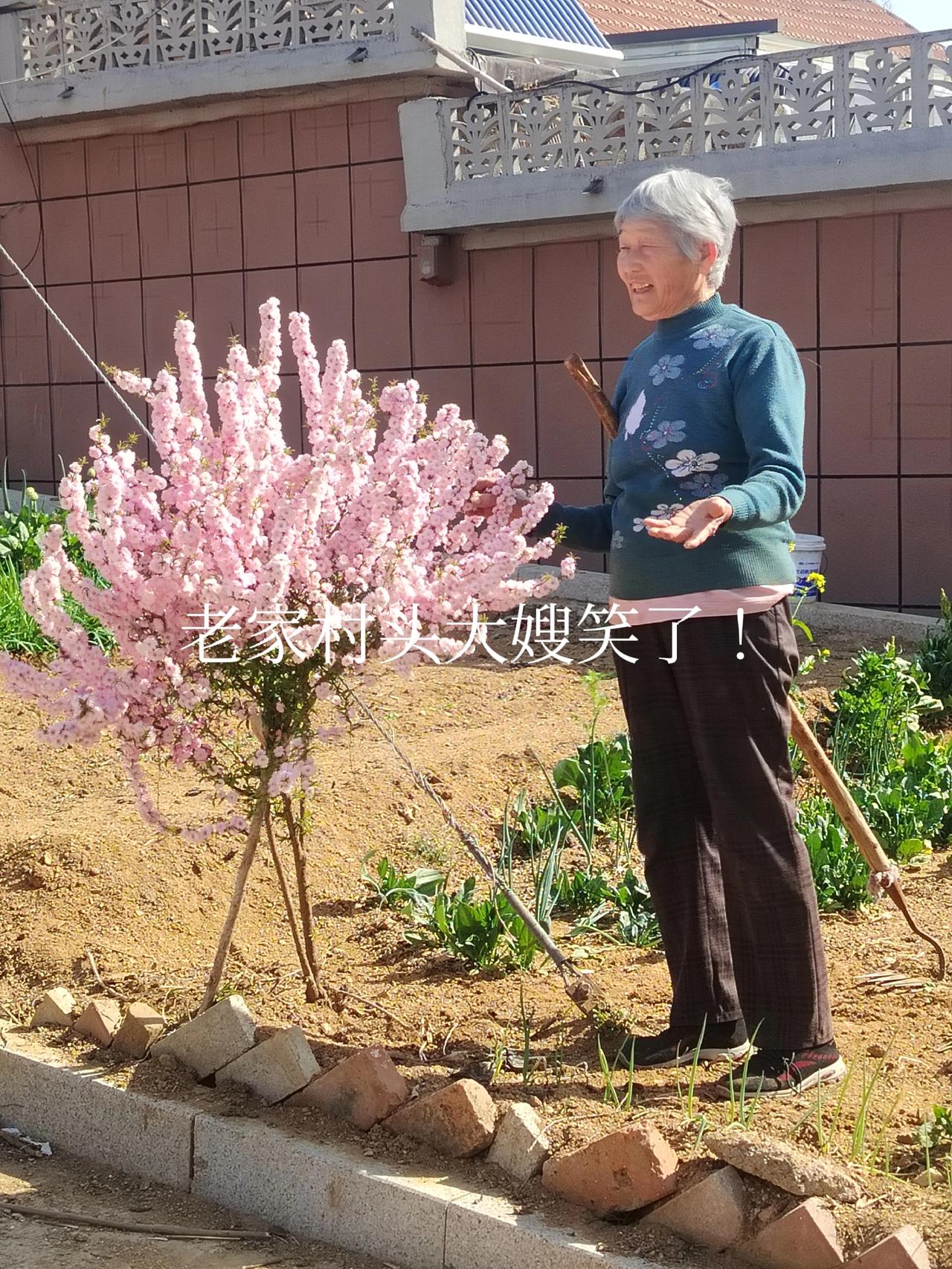 春暖花开之际，我回到了老家。在村头随意拍摄，只见处处繁花盛开，田园沃野宛如一座大