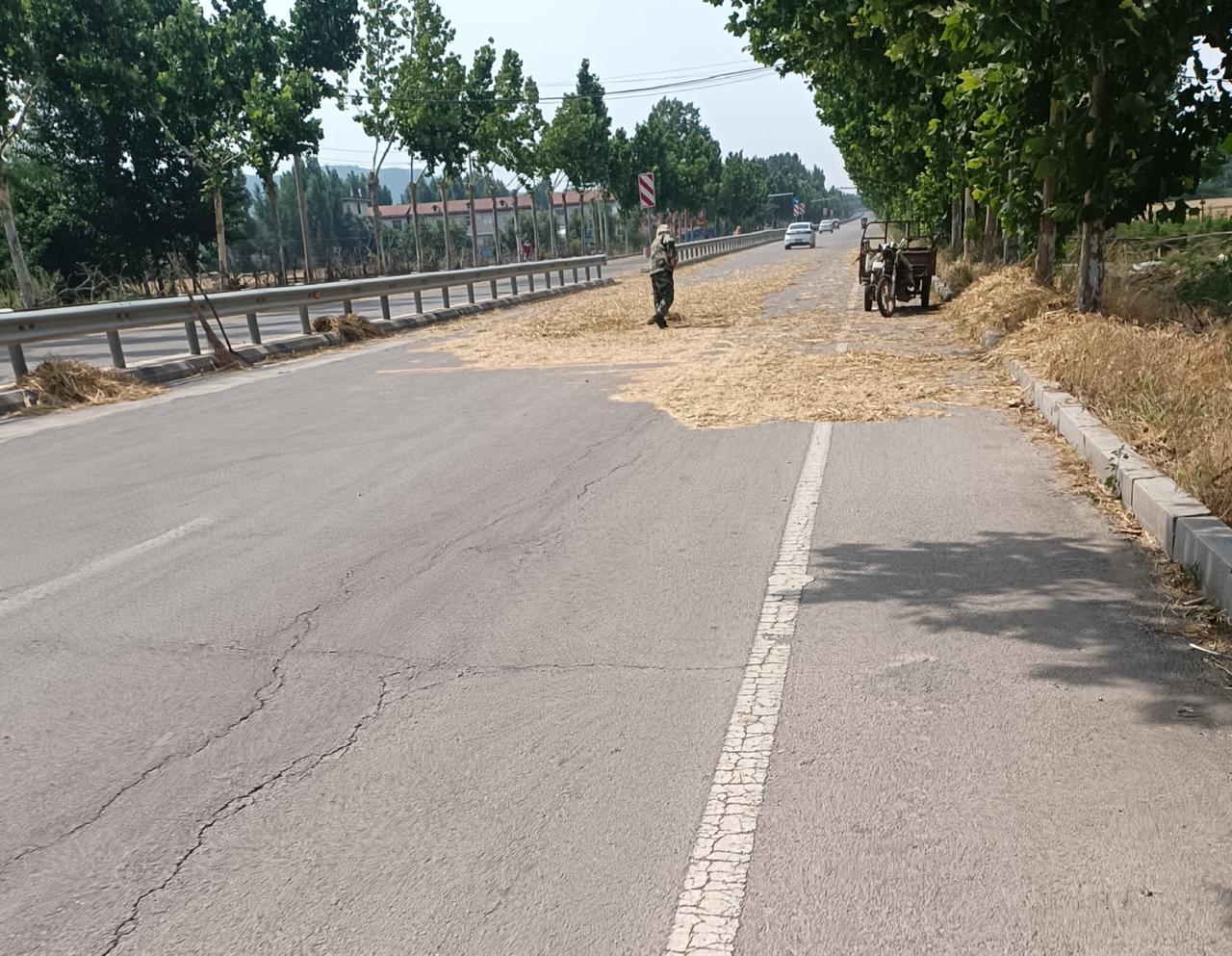 危险游戏

今天骑自行车，可路上没有那么通畅了。

公路上，不远便有一片割下来的
