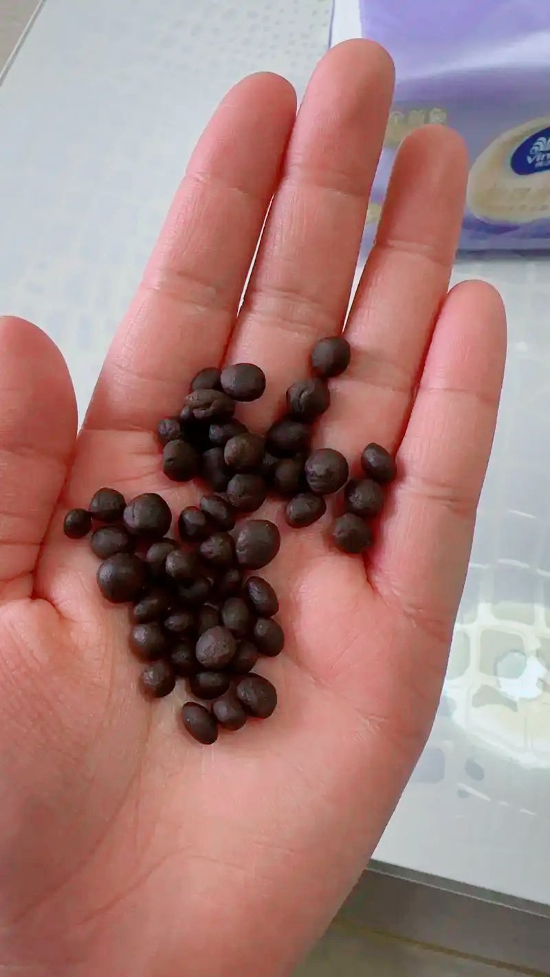 吃烤全羊发现大量粪便店家赔偿1500其实我5岁以前分不清小黑枣和羊粪蛋哪个能吃，