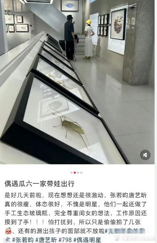 798偶遇张若昀唐艺昕一家三口偶遇张若昀唐艺昕带女儿做手工瓶798偶遇张若昀唐艺